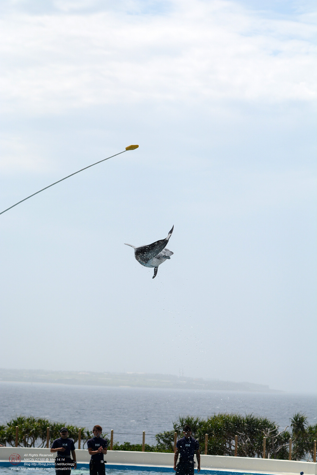 DSC_3072.jpg